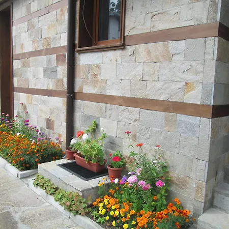 Apartament Todorka Views Alexander Services Bansko